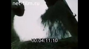 1984г. дер.Колпь колхоз Буревестник Гусь-Хрустальный район Владимирская обл