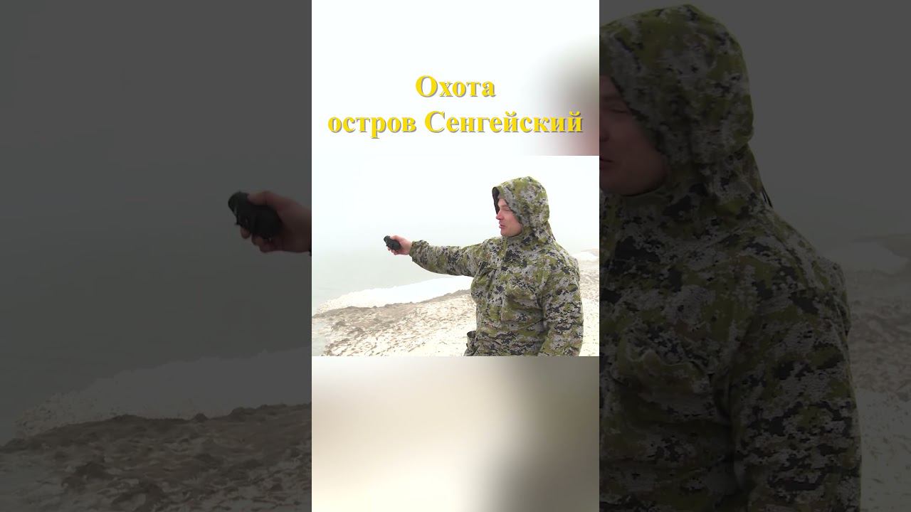 Охота на острове Сенгейский 14 #охотавроссии #охотанагуся смотреть онлайн