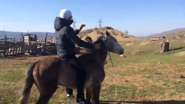 Скакун смотреть онлайн