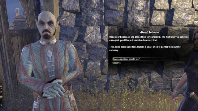 Schroffhand presents: from The Elder Scrolls Online - Alchemist certification quest смотреть онлайн