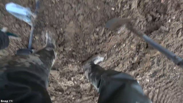 Первые Монеты. Эмоции СУПЕР!!! смотреть онлайн