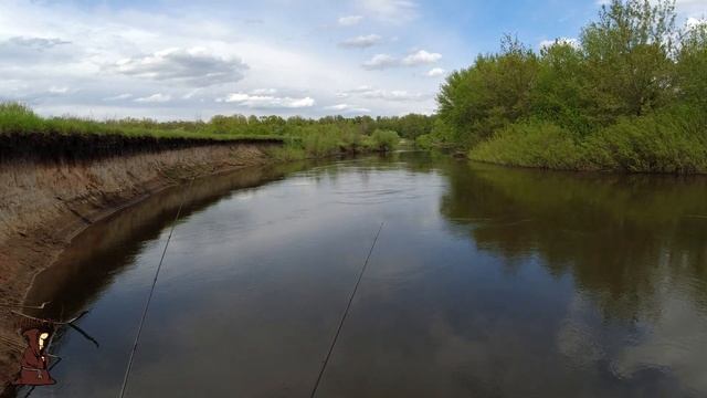 Если ты хотел увидеть рыбу то не смотри это видео Разведка новых мест для летней рыбалки на реке Со смотреть онлайн