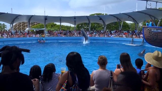 Тема в Сиквариуме в Майами Miami SEAQUARIUM сентябрь 2016 года смотреть онлайн