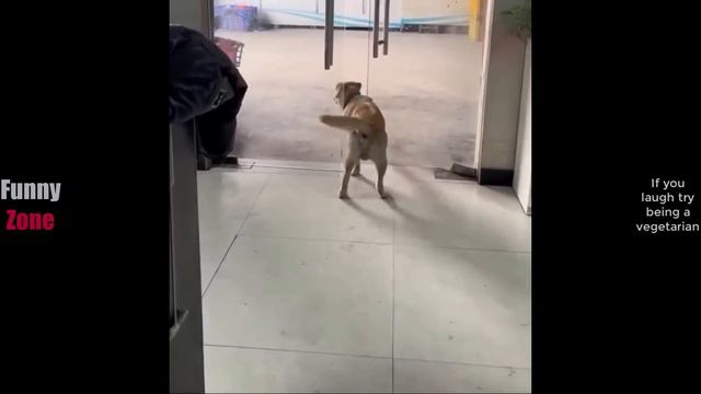 Попробуй не засмеяться (№5) смотреть онлайн