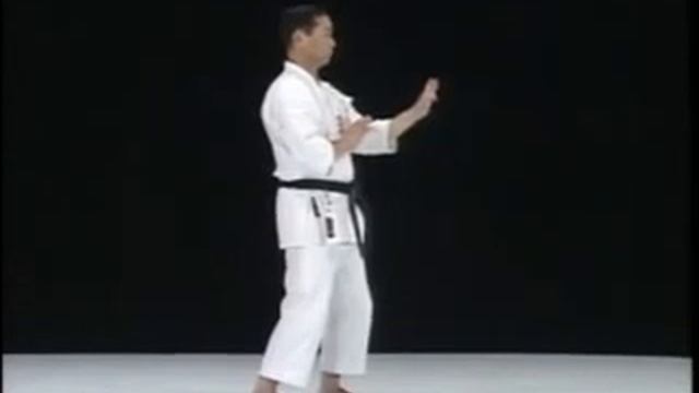 Shisochin Shito Ryu Karate Do Kata & Bunkai смотреть онлайн
