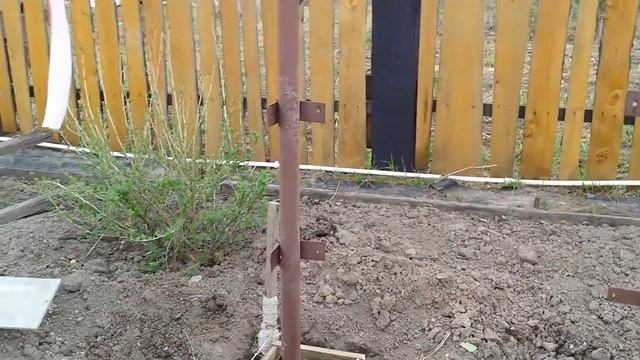 Теплица ч. 2 смотреть онлайн