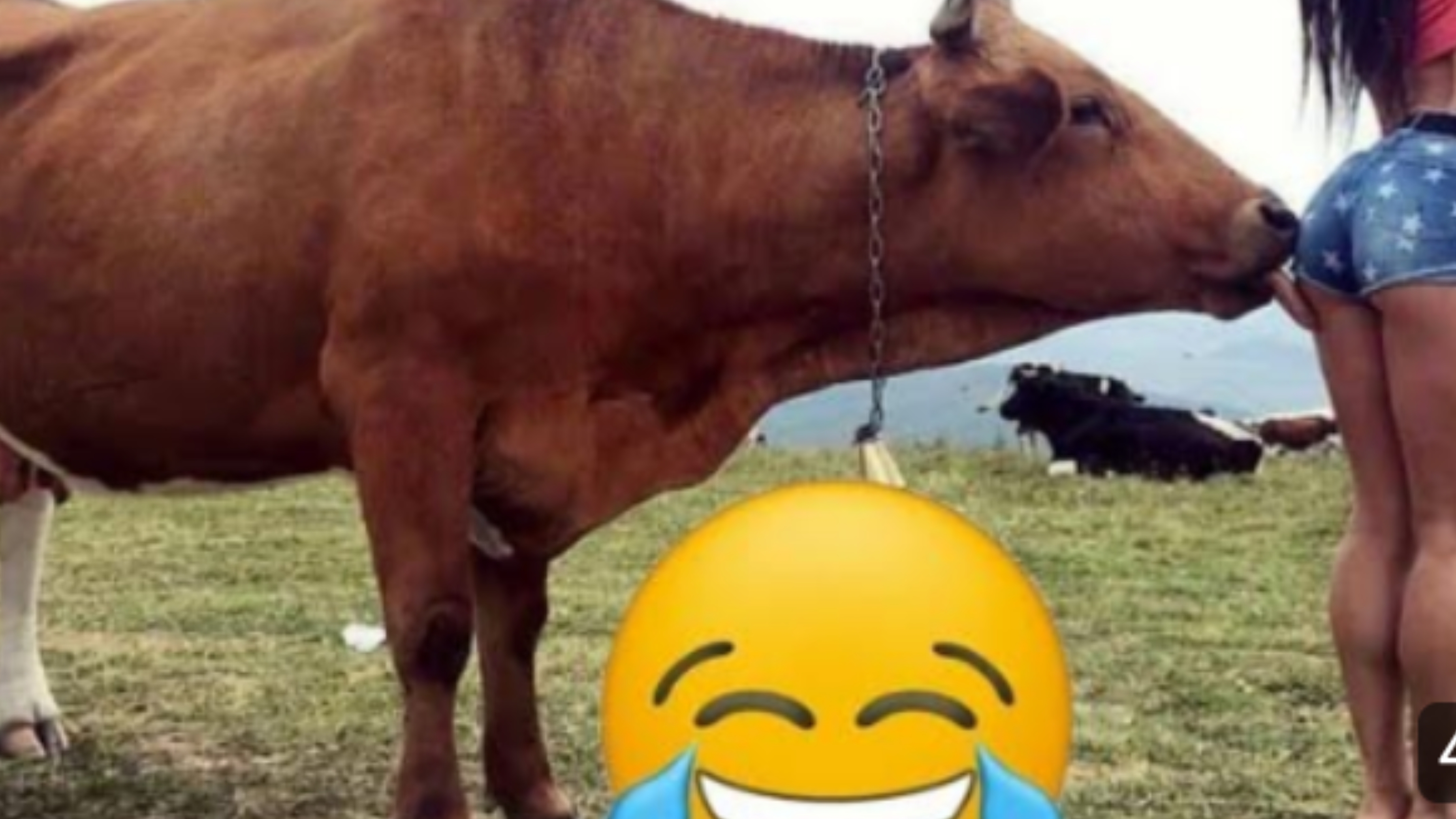 Смешные видео лучшие подборки смешных видимо 2023 года #смешно #видио смотреть онлайн