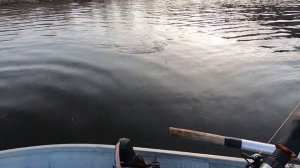 Нерест щуки, но рыбка клюет / Щука / Весна 2021 / Рыбачу с лодки / Pike / Fishing with spinning