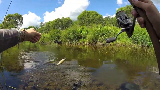 Голавль в Тверской области. смотреть онлайн