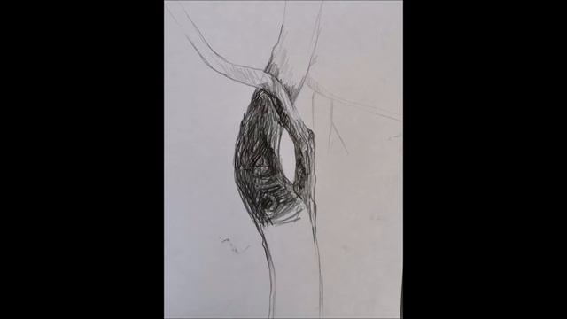 Птицы ,деревья и животные Работы детей