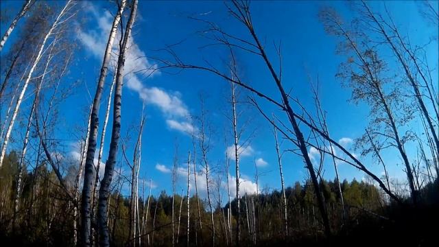 Охотничий видеоархив.Открытие сезона Осень 2016.Полевая баня смотреть онлайн