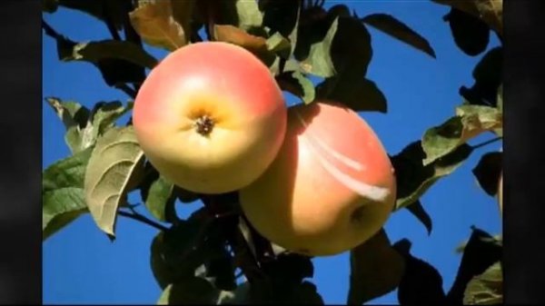 Visit Namangan (Photo Gallery)