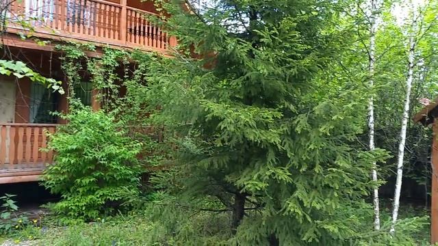 Аренда дома, тис Гранат