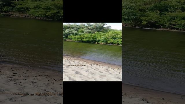 Искупалась