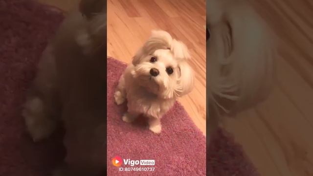 Как строить глазки? смотреть онлайн