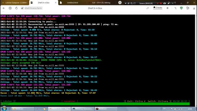 RavenCoin + Zilliqa на HiveOS. Dual Mining