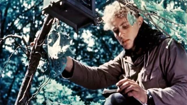 Сады на земле таёжной, часть 1, 1960. смотреть онлайн