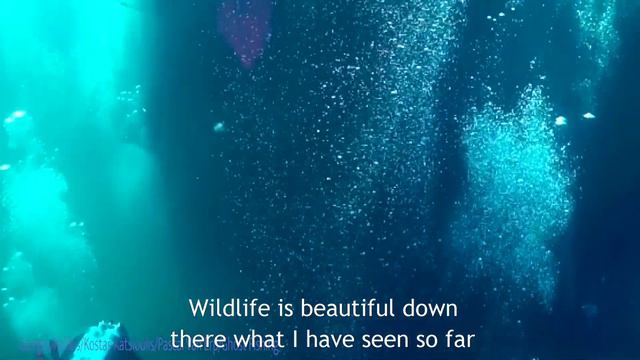 Ecofluencer Jenni x Healthy Seas & Ghost Fishing | Bracenet ghost net diving mission | Season 20 смотреть онлайн
