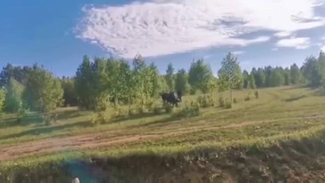 11 августа 2021 г. смотреть онлайн