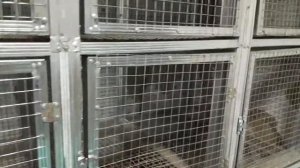 Клетка для кроликов из металопрофиля
