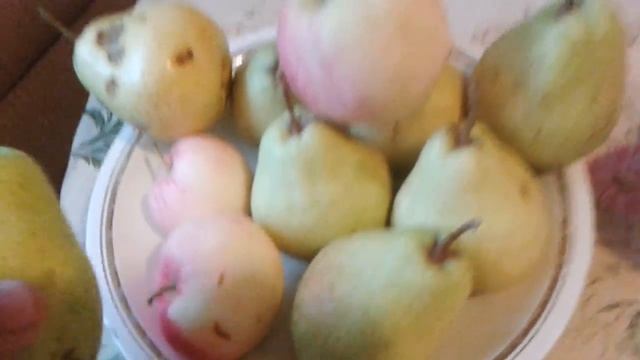 МЕГА ГРУШИ НА УРАЛЕ смотреть онлайн