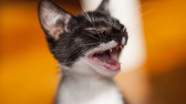 10 октября / Приятный запах. смотреть онлайн