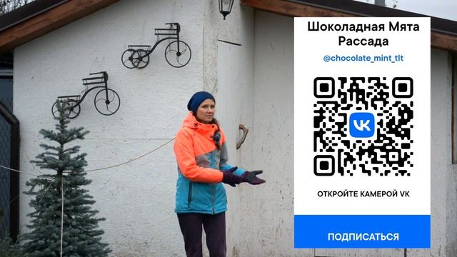 Мята | Как и зачем укрывать на зиму смотреть онлайн