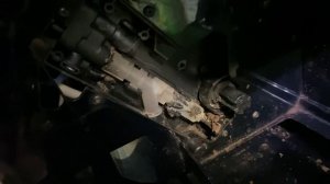 Melitta Passio Ot. Как разобрать, что проверить. Обзор тест мнение. Качество кофе.