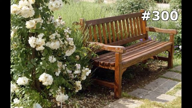 #300. Цветы и растения - самые красивые цветы смотреть онлайн