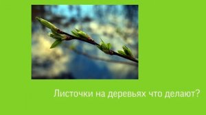 Обучающее занятия. Признаки весны.