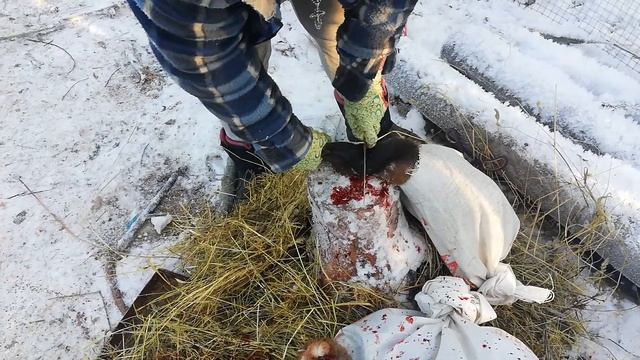 убой утки, женский подход! смотреть онлайн