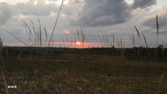 33. Какая же Очаровательная МУЗЫКУ и Красивая ПРИРОДА в Нахимовском! смотреть онлайн