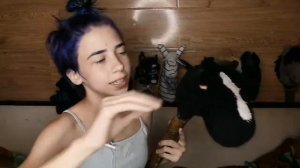 Мои Хоббихорсы/обзор на моих Хоббихорсов/Хоббихорсинг