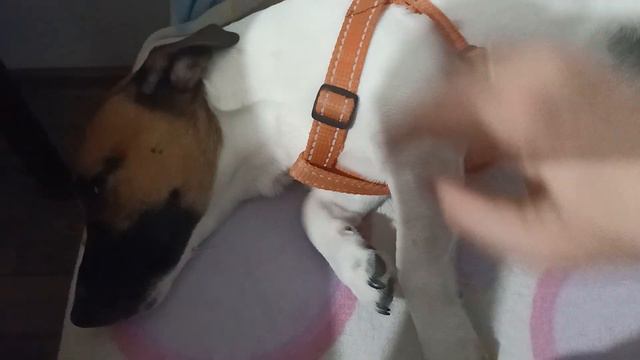 VIP клиент....Запрос- Вот Все Есть И Любят Меня И Кормят...А НА ДУШЕ Г@ВНО....ЗНАКОМО??? смотреть онлайн