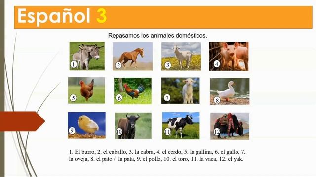 Тема 20. Что умеют животные? смотреть онлайн