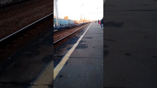 ст. Кушелевка эд4м 0371 по маршруту Васкелово Финляндский вокзал смотреть онлайн