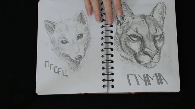 ОБЗОР СКЕТЧБУКА №4 | Sketchbook tour #4 смотреть онлайн