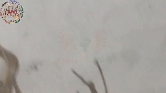 Snake House In Lahore Zoo