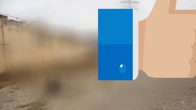 Бездомные собаки и неадекватный зоозащитник!!! смотреть онлайн