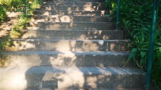 ??КАРЕЛИЯ.СОРТАВАЛА ЗА ОДИН ДЕНЬ.ЧТО ПОСМОТРЕТЬ,ГДЕ ПОЕСТЬ? МОИ ВПЕЧАТЛЕНИЯ И РАЗОЧАРОВАНИЯ смотреть онлайн