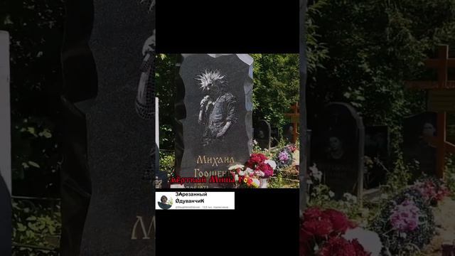 Песни В Память О Горшке😔❤️*в моём тг канале по ссылке в шапке профиля*