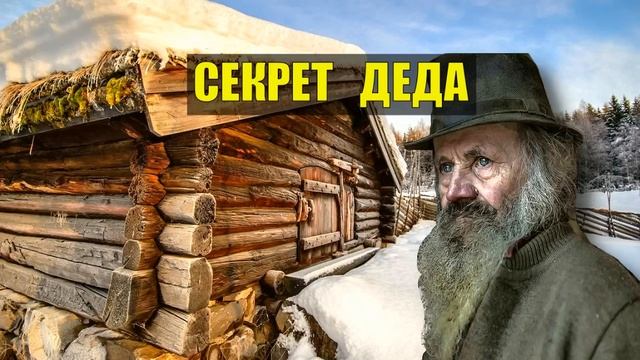 СЕКРЕТ ДЕДА Был в ТАЙГЕ такой СЛУЧАЙ ИСТОРИИ из ЖИЗНИ СУДЬБА ДОМ в ЛЕСУ ОХОТА ЛЕС ЛЕСНЫЕ СЕРИАЛ смотреть онлайн