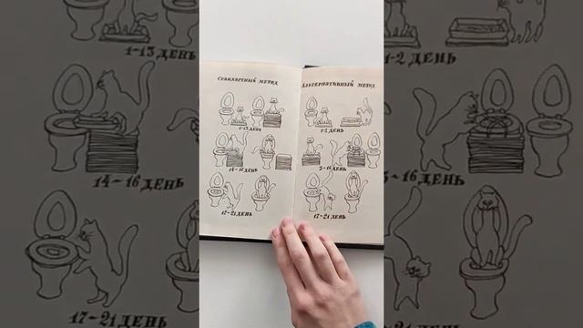 Инструкция в конце : Как приучить кошку к туалету? смотреть онлайн