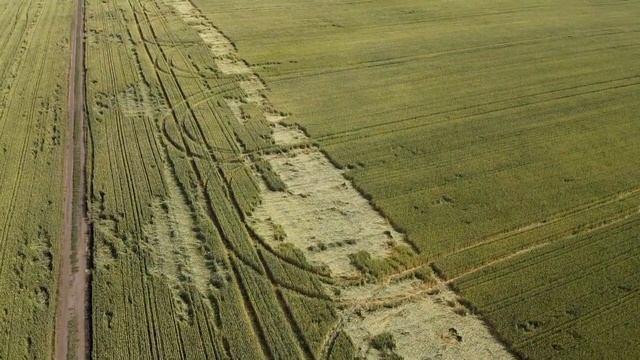 Александровка поле А11 (63.5га) Аквилон смотреть онлайн