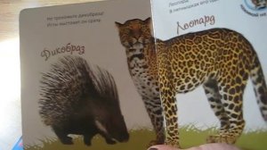 Веселые голоса. Зоопарк, Машинки,Джунгли, Лес (звуковой модуль) Азбукварик