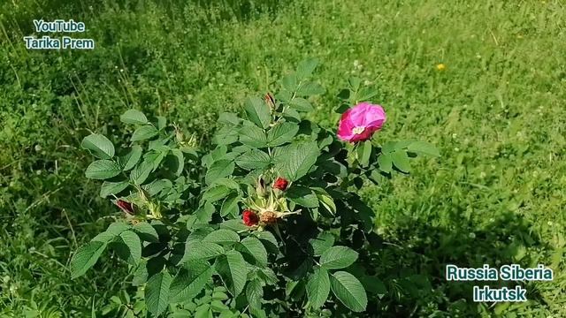 Семейное счастье создают только двое