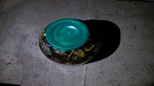 ЖЕНА ПОСЛАЛА НОЧЬЮ ЗА ОГУРЦАМИ ПО ГРЯЗИ И СНЕГУ. ИЩУ НОВУЮ ЖЕНУ смотреть онлайн