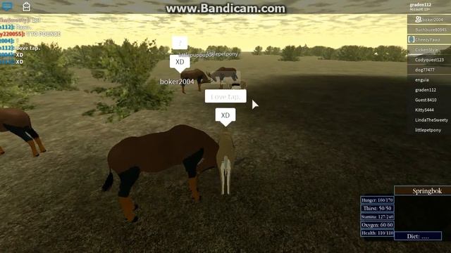 [Roblox: Wild Savannah] Springbokness смотреть онлайн