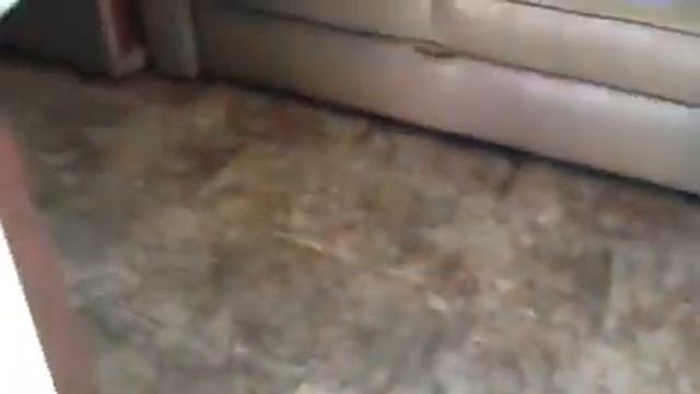 2014 Vista Or Sunstar 35